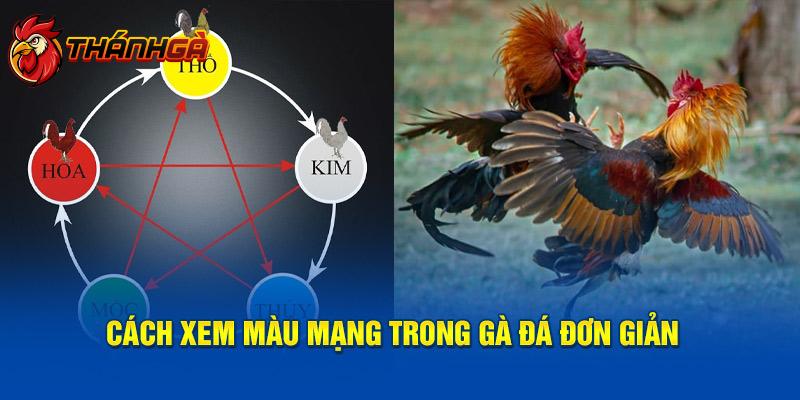 Cách xem màu mạng trong gà đá đơn giản