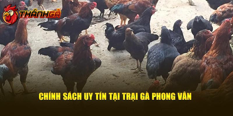 Chính sách uy tín tại trại gà Phong Vân