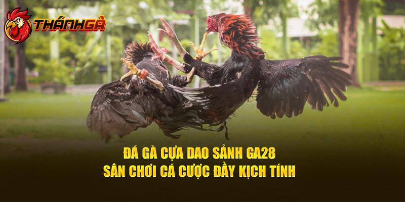 Đá Gà Cựa Dao Sảnh GA28 - Sân Chơi Cá Cược Đầy Kịch Tính