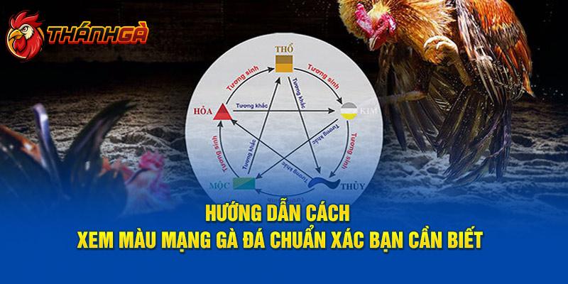 Hướng Dẫn Cách Xem Màu Mạng Gà Đá Chuẩn Xác Bạn Cần Biết