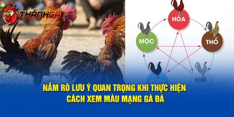 Nắm rõ lưu ý quan trọng khi thực hiện cách xem màu mạng gà đá